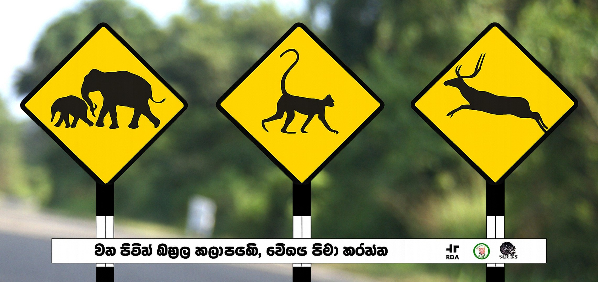 Wildlife warning road sign in Sri Lanka